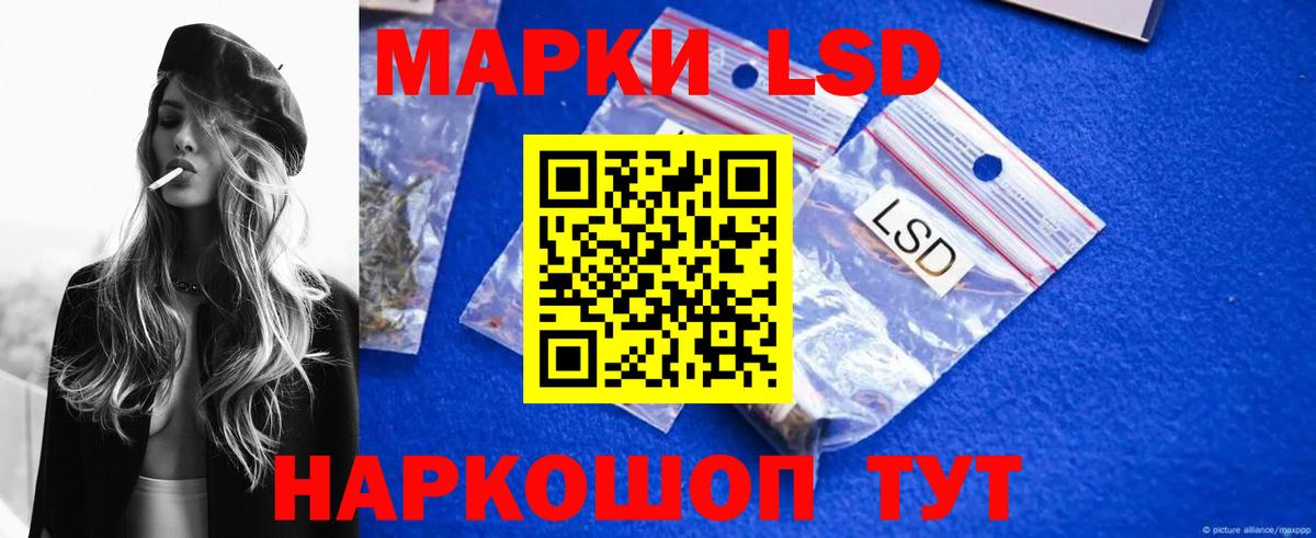 Псилоцибиновые грибы Тихорецк
