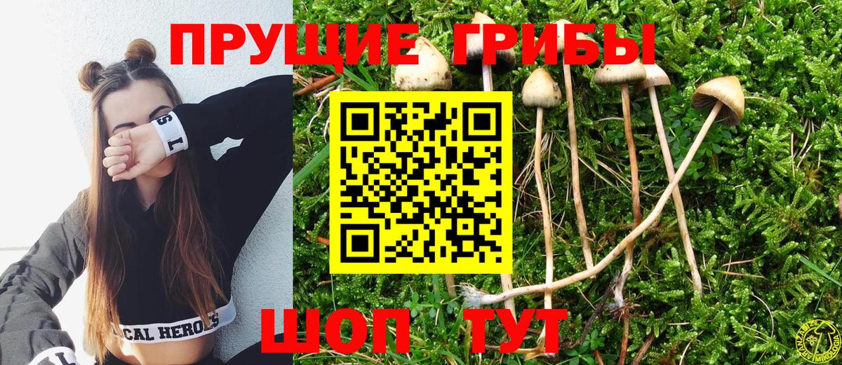 Тихорецк  Галлюциногенные грибы мухоморы  Вход с VPN 